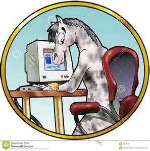 cheval webmaster